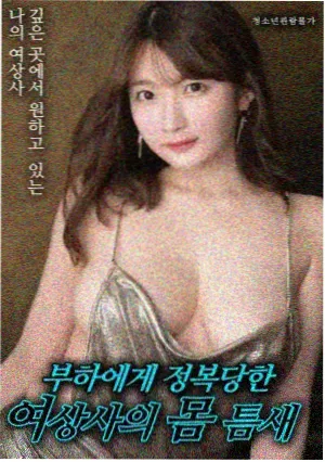动画电影